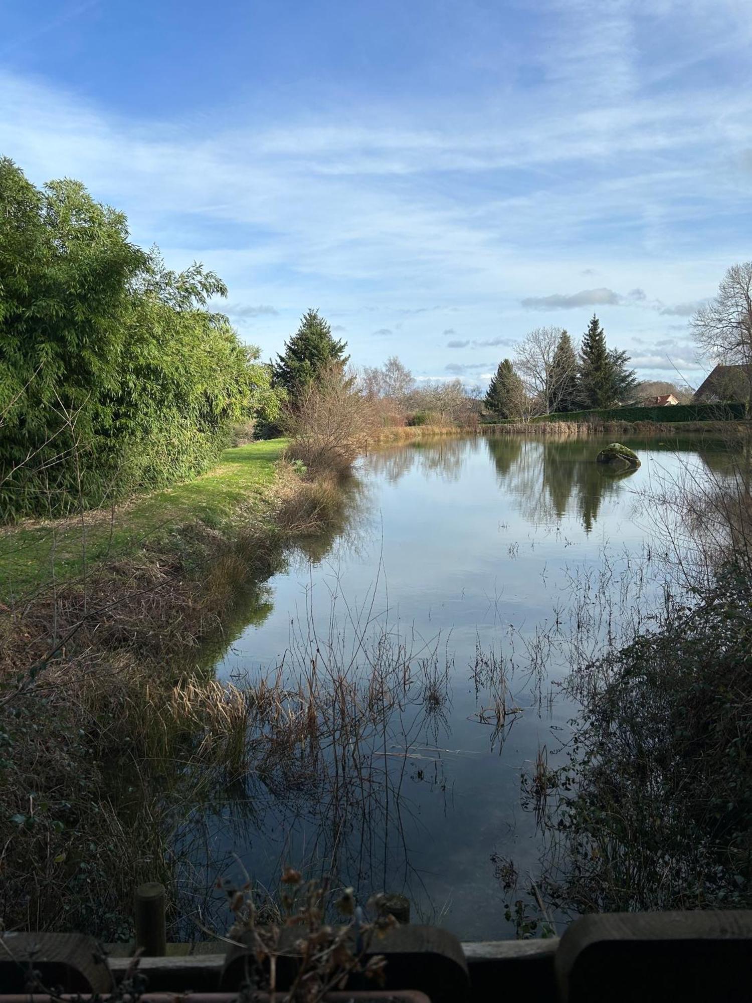Le Domaine De La Vergnolle Roches  Kültér fotó