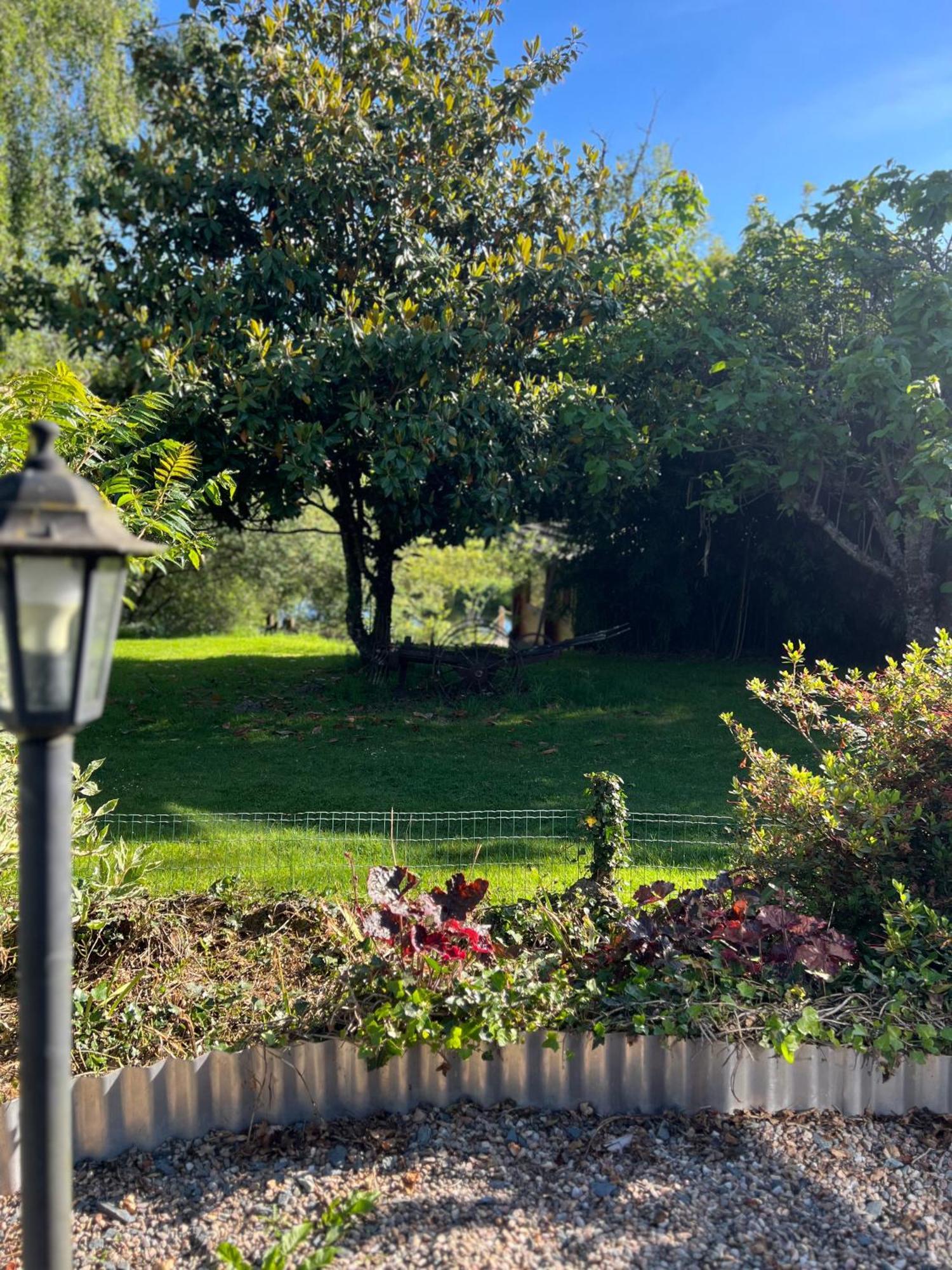Le Domaine De La Vergnolle Roches  Kültér fotó