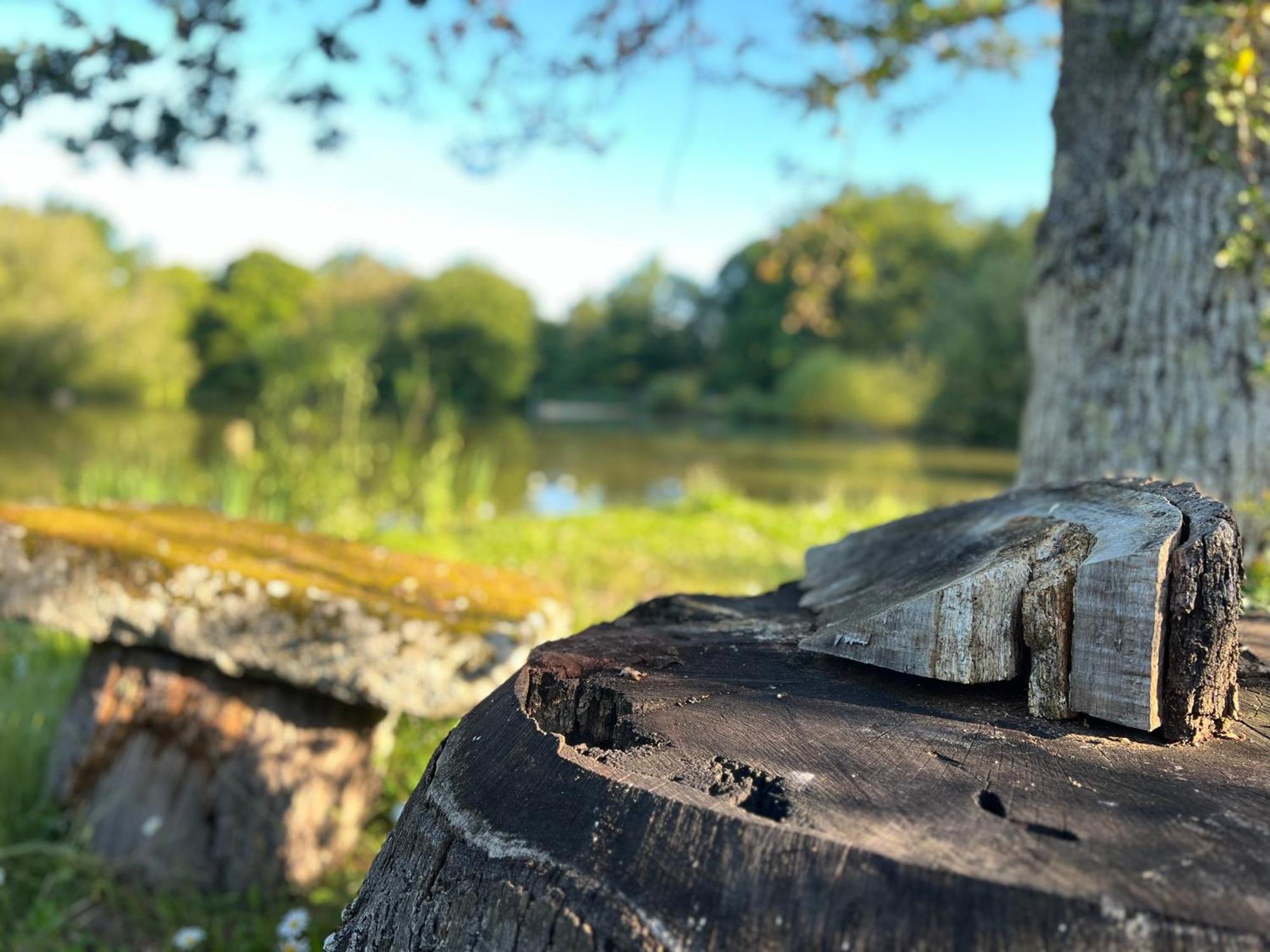 Le Domaine De La Vergnolle Roches  Kültér fotó