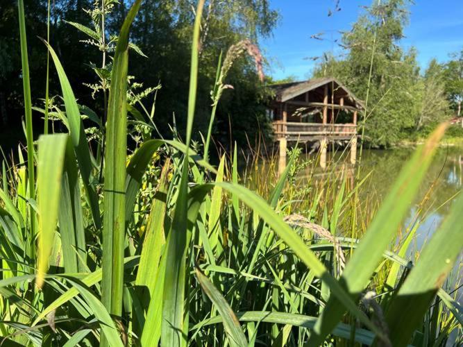Le Domaine De La Vergnolle Roches  Szoba fotó